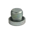 2007.5-2018 Cummins Pipe Plug 16mm (S-16MM-CS-PLUG)