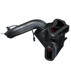 2019-2025 GMC 1500 Cold Air Intake (75-5128-1)