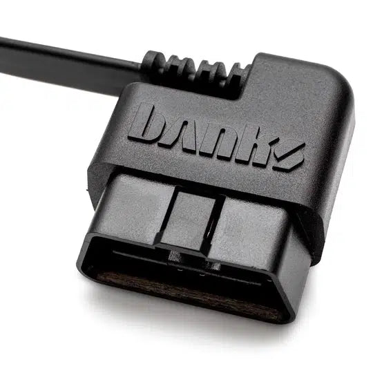 Universal 4-Pin OBD-II Cable (61300-45)